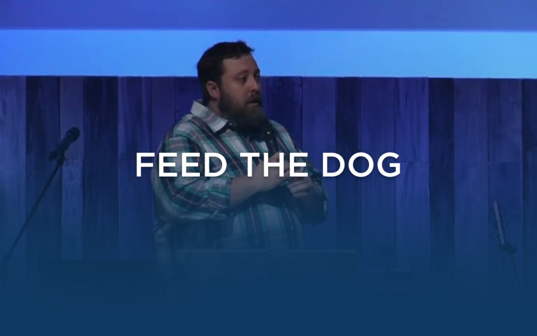 Feed The Dog